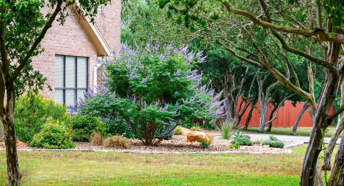 Corpus Christi, TX's Sustainable Landscaping Experts