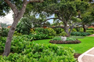 Corpus Christi, TX Tree Services