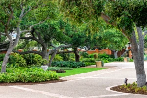 Corpus Christi, TX Landscape Installation