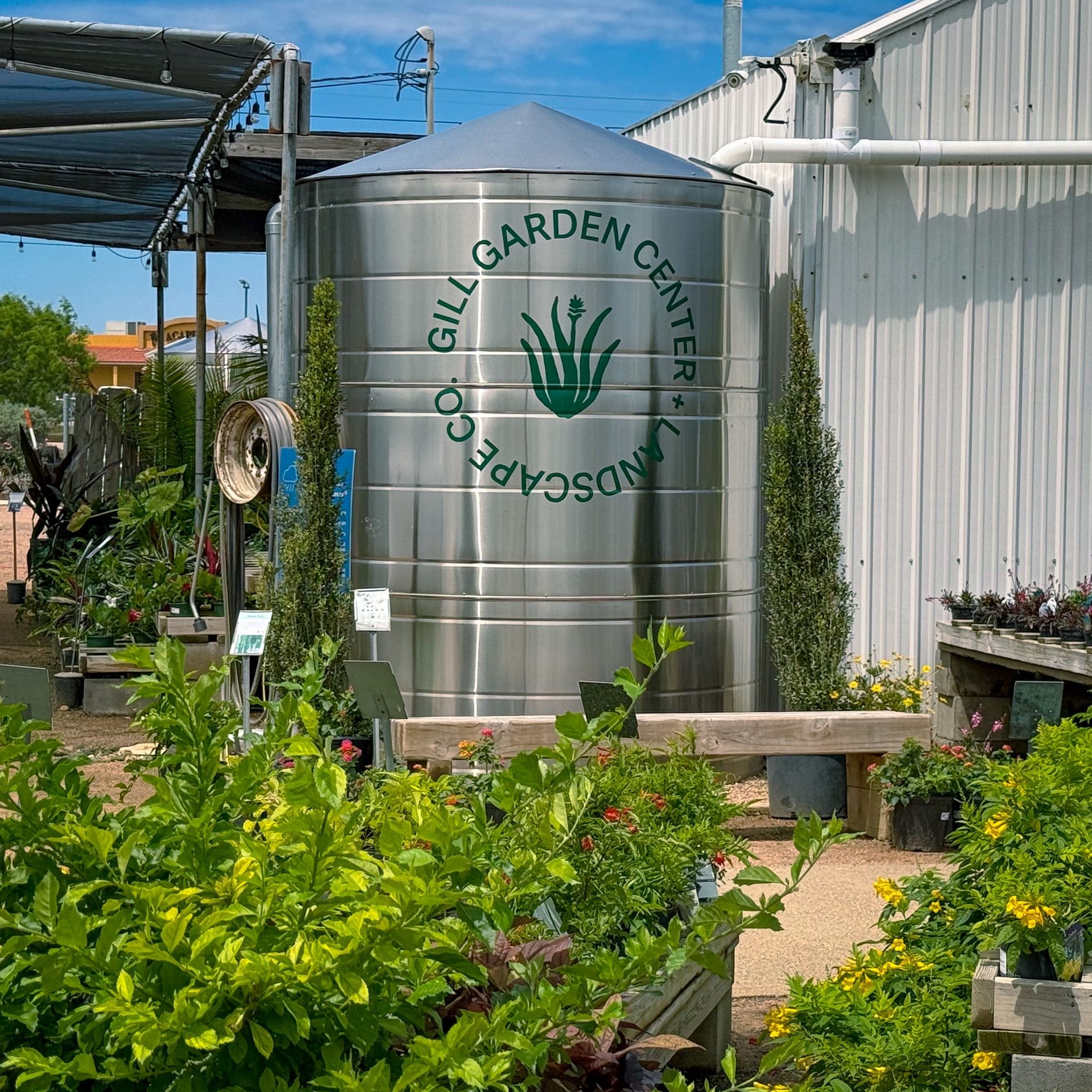 After a Rain: Stretch Your Water & Watch Out for Bugs!