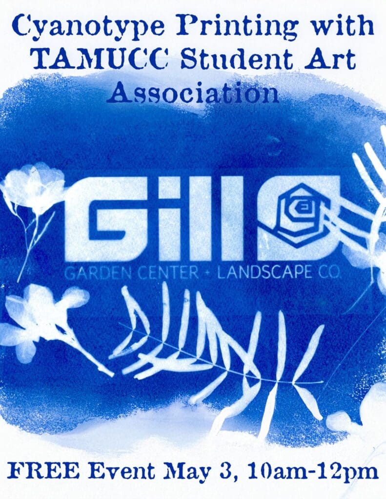 6bd926b1-707f-4d00-a254-420e8a1305b2