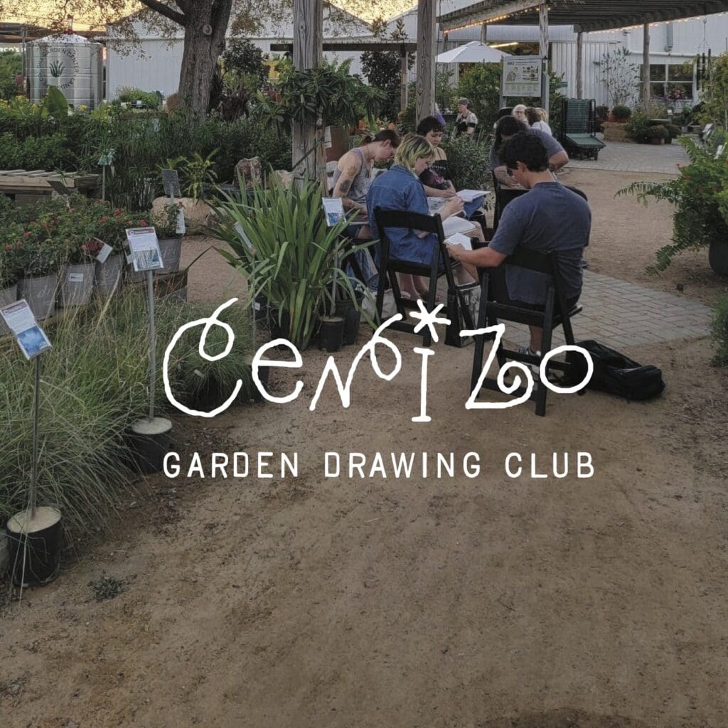 Cenizo_Flyer 2_logo