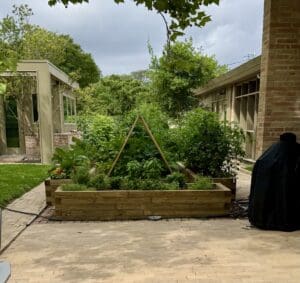 Corpus Christi, TX Edible Landscaping