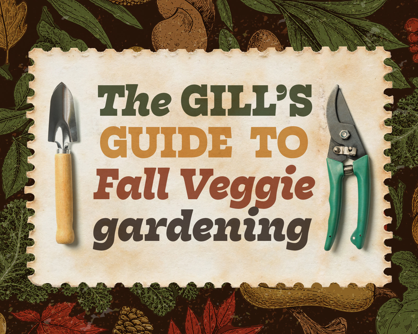 Guide to Fall Veggie Gardening 2026