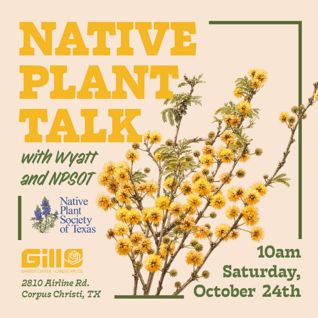 Native plants, native trees