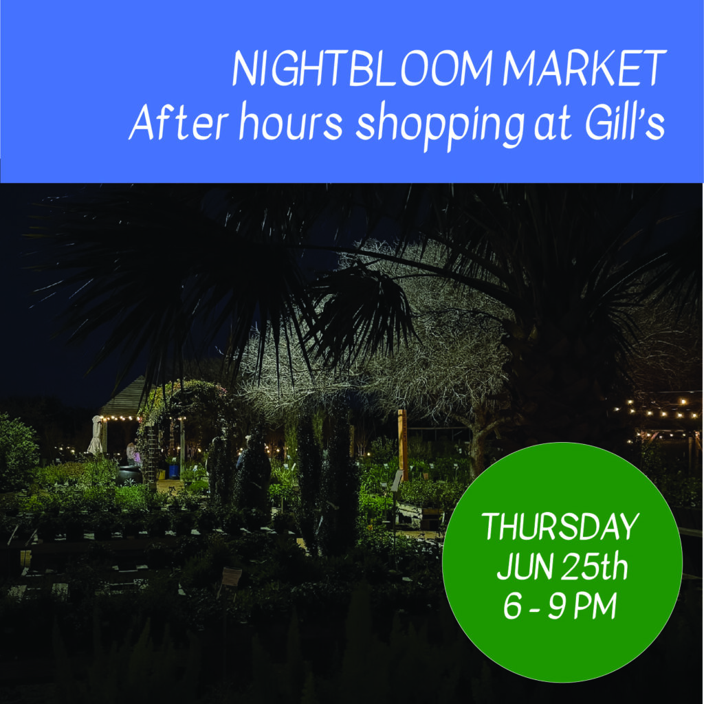 NightBloomMarket_Jun 25