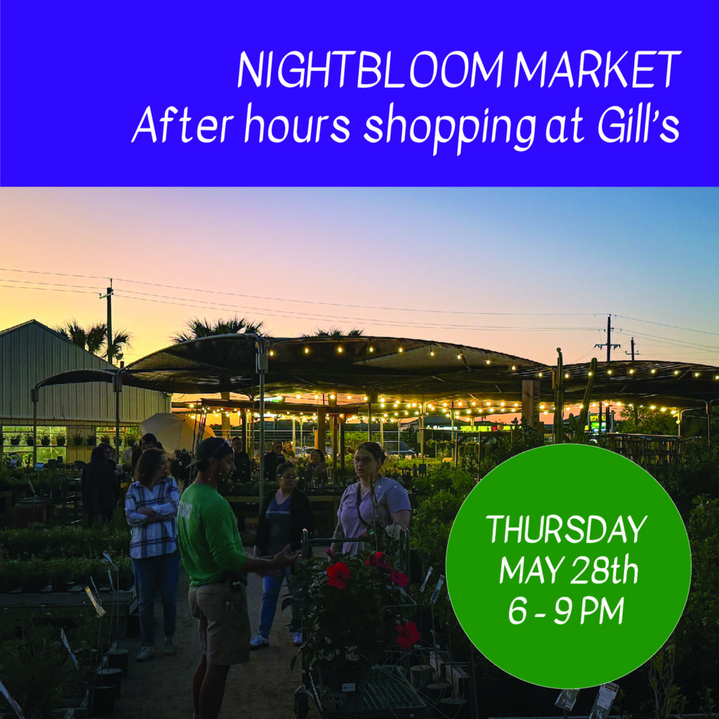 NightBloomMarket_May 28