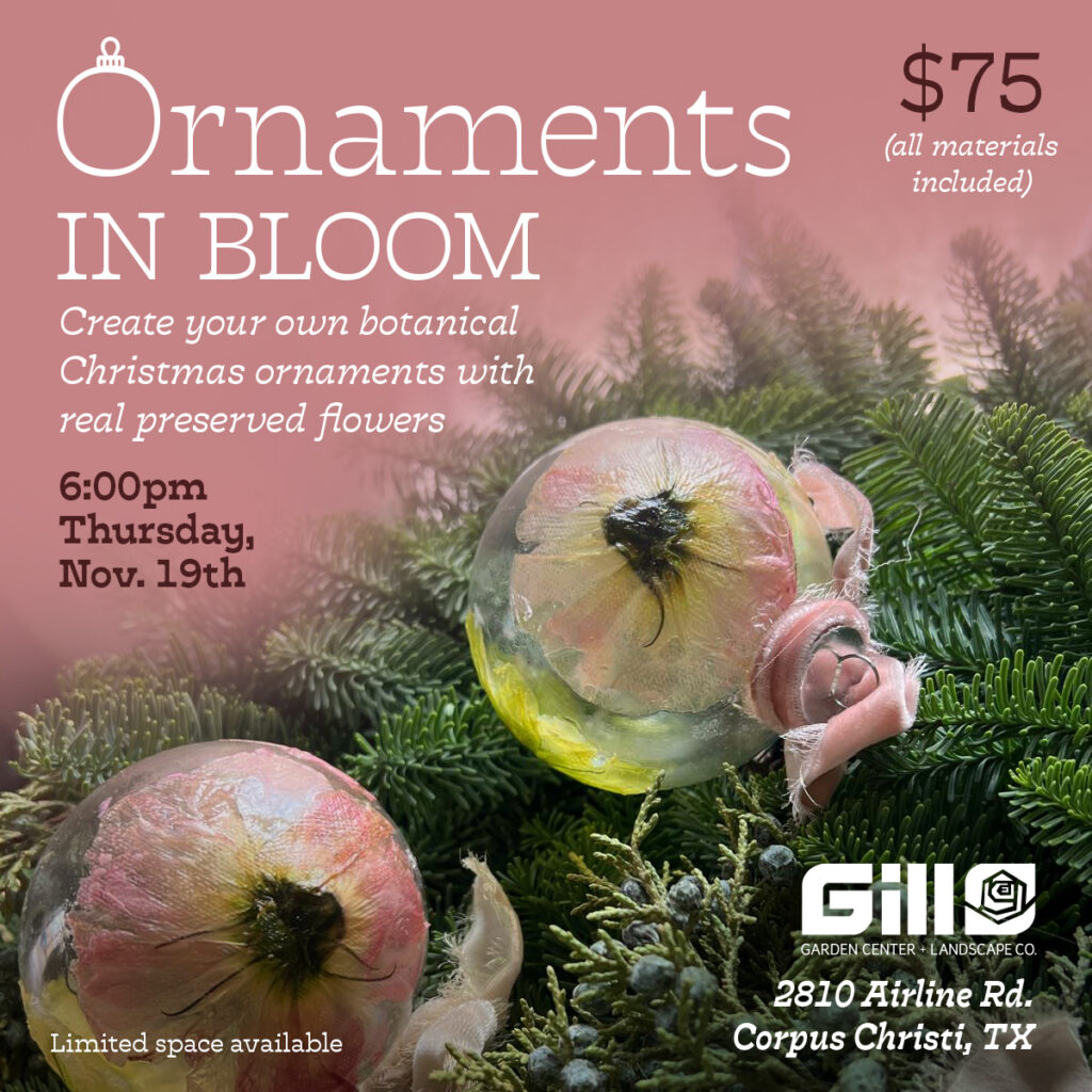 Ornaments in Bloom