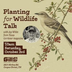 Planting for wildlife talk