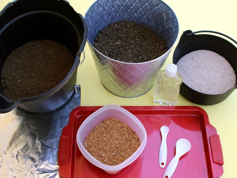 Kids’ Wildflower Seed Ball Project This Saturday!