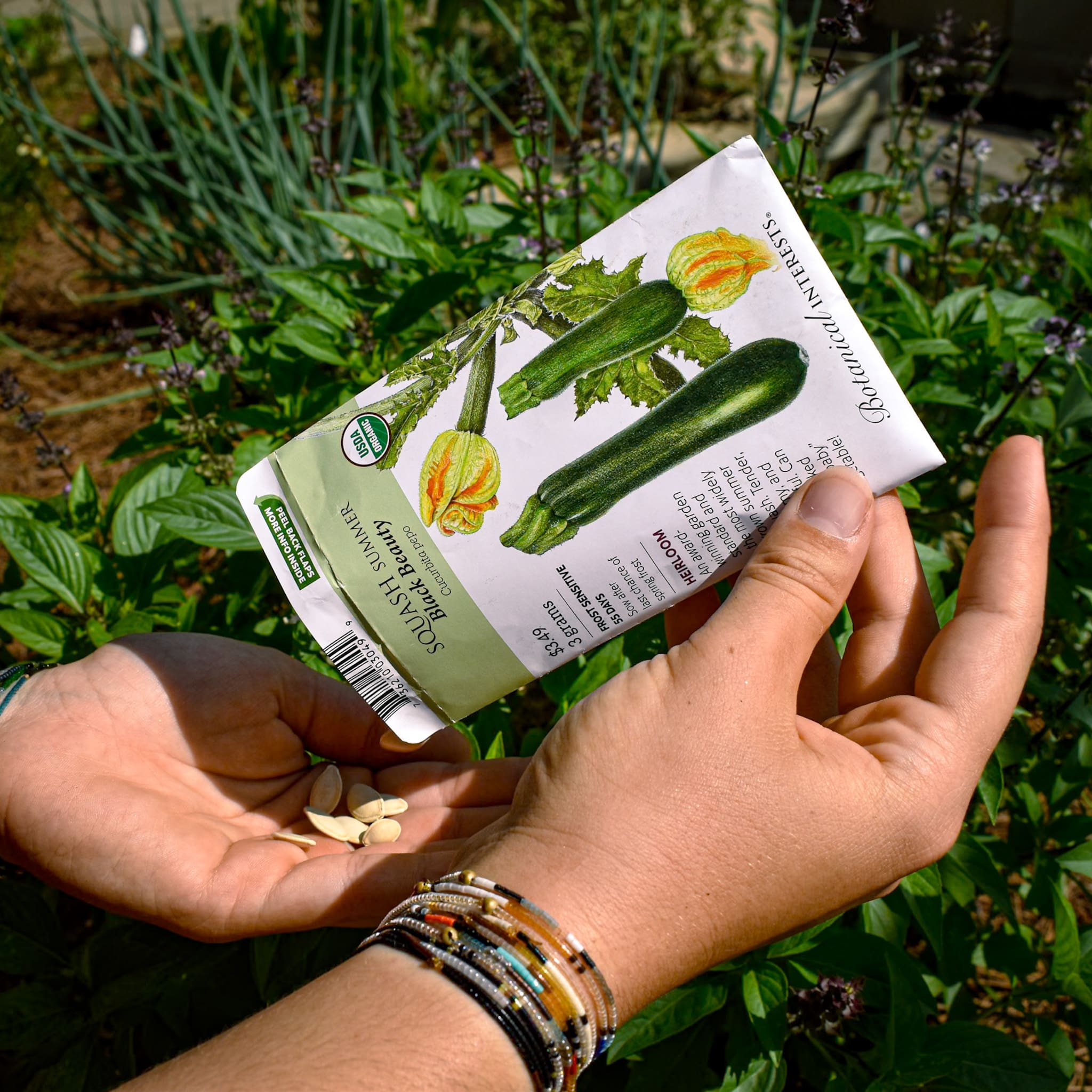 Seeds (1)