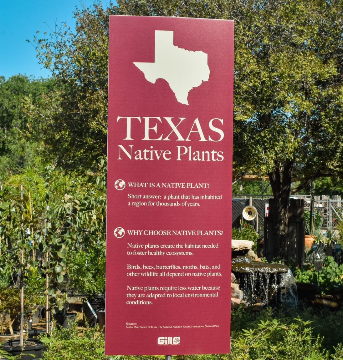 Texas Native Sign cropped