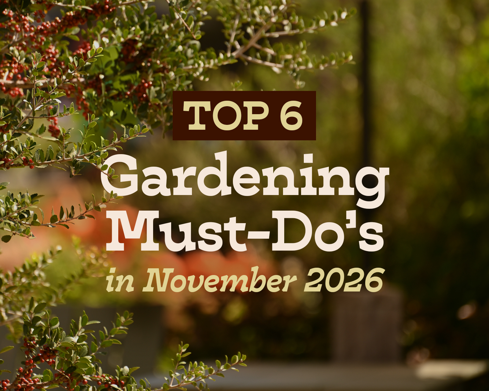 Top 6Gardening Must dos