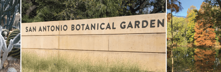 Fun Time At The San Antonio Botanical Gardens Gill Garden