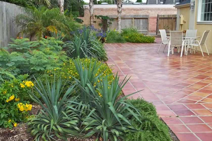 What Does Xeriscape Mean To You Gill, Landscaping Corpus Christi Texas